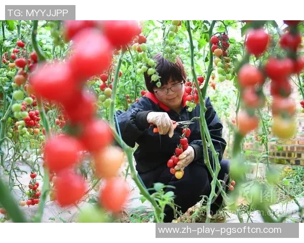 pg电子摇钱树爆分视频-以下是根据关键词撰写的文章标题和内容，pg电子摇钱树爆分视频